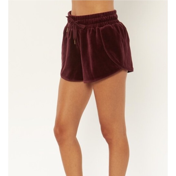 REVOLVE - Amuse Society Velour Shorts - Picture 2 of 5